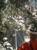 Adventurous Man Ropes His Way Across Rock-Jungle