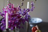 A Bouquet of Purple