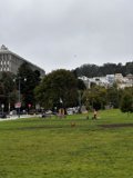 Duboce Park: An Urban Oasis