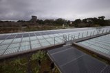 Harnessing the Power of the Sun