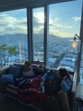 Cozy Afternoon in the Urban Shelter