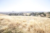 Majestic View of the City from the Grassland Hill