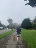 Running with a Furry Companion