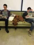 Cozy tech time with man's best friend
