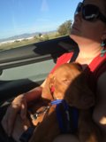 On the Road with My Best Friend