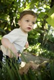 Little Explorer in Nature