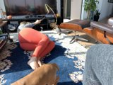 Relaxing with My Furry Companion