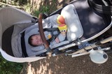 Newborn Baby Sleeping Peacefully in Stroller Outdoors