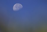 Lunar Glow Over Carmel Valley