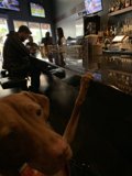 Bartender's Best Friend