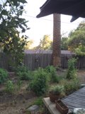 Serene Backyard Oasis