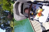 Peaceful Baby Nap by Garden Lake