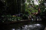 Cow Statue in the Magical Waters