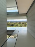 A Glimpse of Modern Design at Apple Park