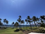 Tropical Paradise
