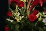 Romantic Blooms