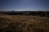 A Serene View of the City from the Hillside