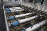 Pipe Dream