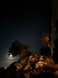 Moonlit Serenity