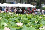 Flowers and Folks
