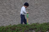 Young Boy Explores Rocky Beach with Stick