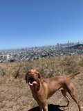 Overlooking the City
