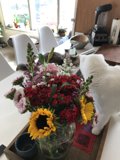 Feline Art Critic