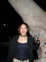 The Woman and the Tree