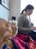 A Cozy Afternoon with Furry Companions