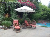 Relaxing in the Backyard