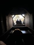 Train Ride with a Furry Companion
