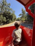 Joyride Under the Summer Sun