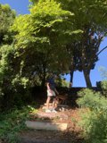 Man and Dog Enjoying a Day in Golden Gate Park