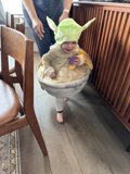 Charming Wesley: Double Green Hat Delight