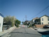 Quiet Neighborhood Street