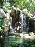 Majestic Waterfall in the Heart of Nature