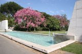 A Serene Oasis in the Heart of the City