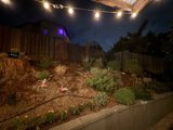 Enchanted Backyard Evenings