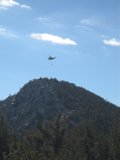 Flying above the Mountain and Tree