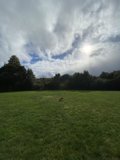 Sunny Day in Redwood City