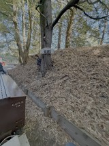 Zoo Bear Enclosure Walking Path in Winter
