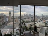 The Urban Jungle from Above