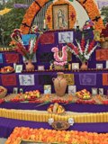 Purple and Orange Altar in Grand Park