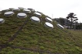 Circular Windows on Green Roof