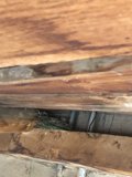 Inspecting the Wood Beams