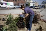 Greening the Concrete Jungle