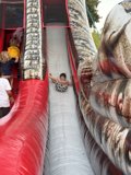 Adventure Down the Slide
