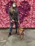 Flower Power Walk