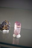 Gems of Wonder