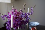 Purple Beauty in Candlelight